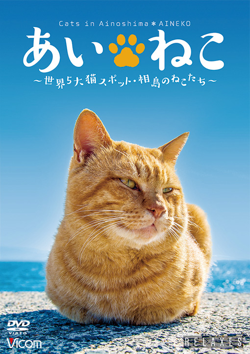 (未使用･未開封品)あいねこ 世界5大猫スポット・相島のねこたち [DVD] あいねこ～世界5大猫スポット・相島のねこたち～【DVD】｜鉄道